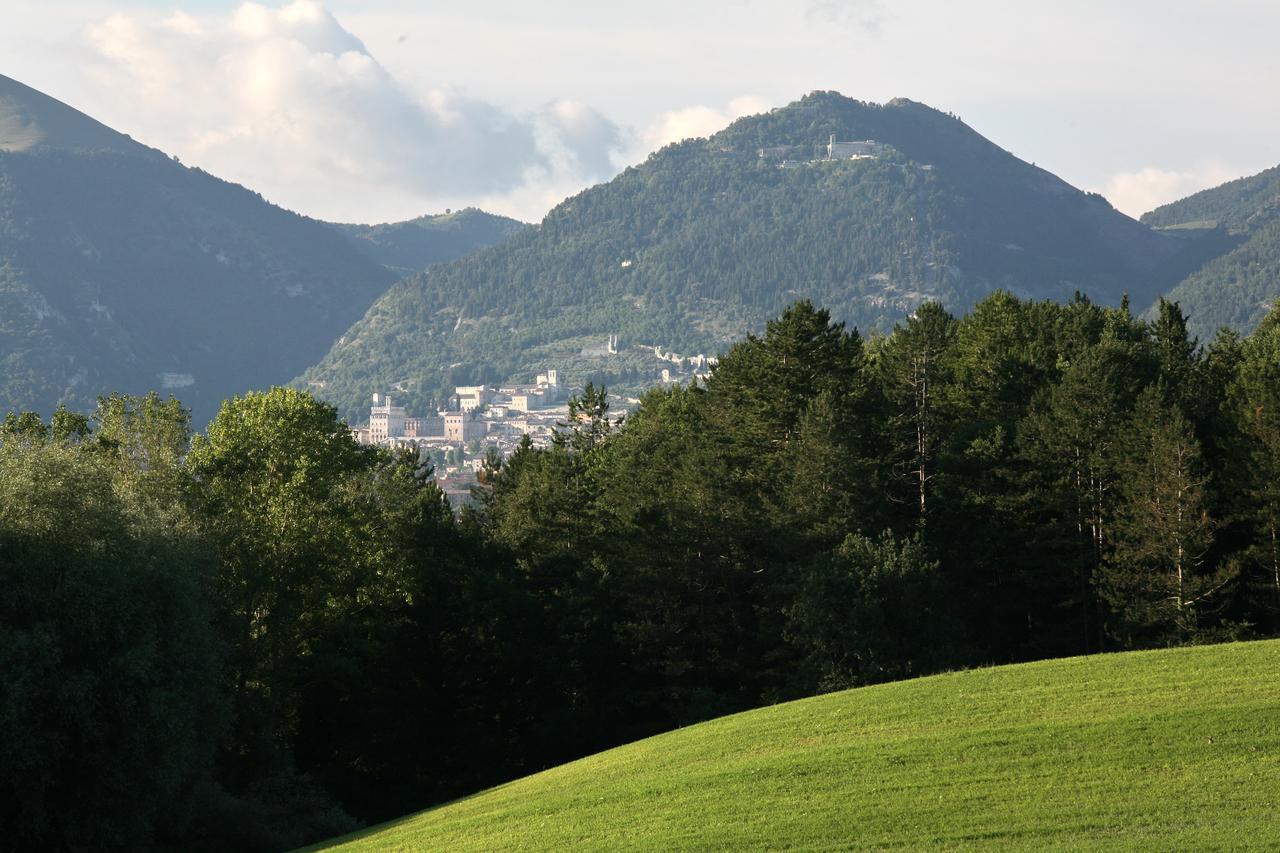 Agriturismo Villa Mozart Nel Verde Губбио Экстерьер фото