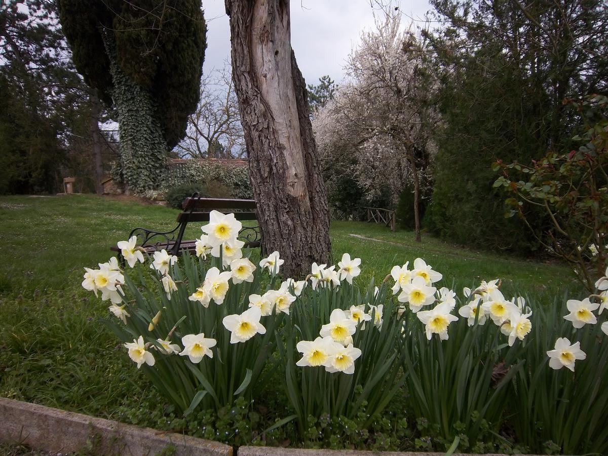 Agriturismo Villa Mozart Nel Verde Губбио Экстерьер фото