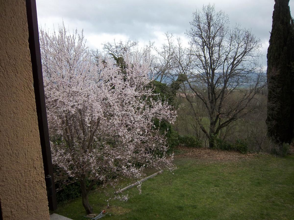 Agriturismo Villa Mozart Nel Verde Губбио Экстерьер фото