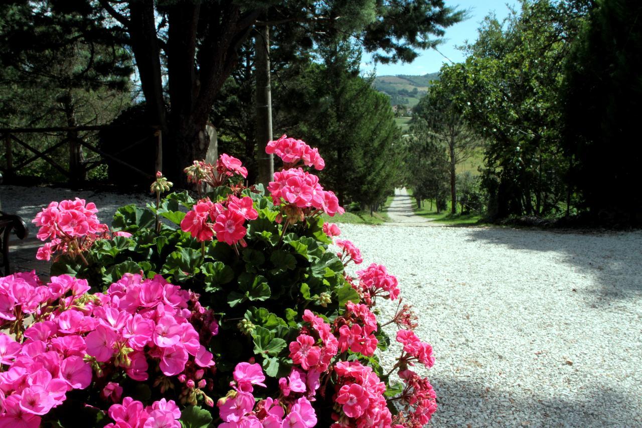 Agriturismo Villa Mozart Nel Verde Губбио Экстерьер фото