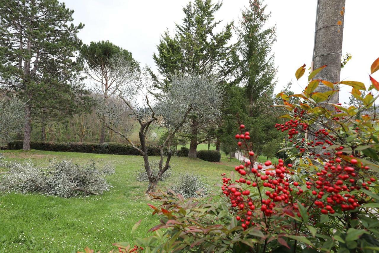 Agriturismo Villa Mozart Nel Verde Губбио Экстерьер фото